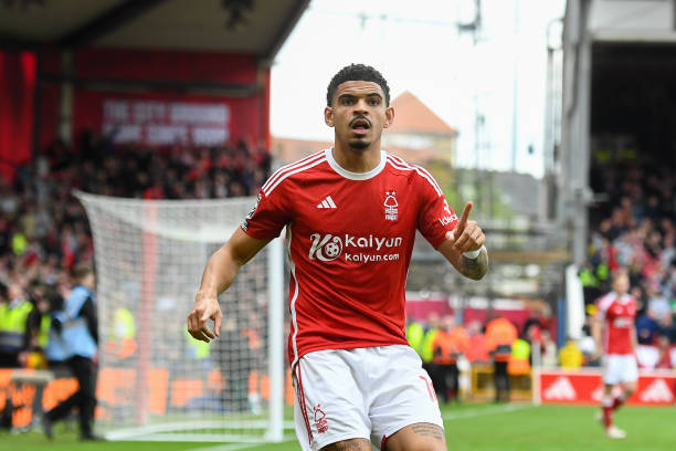 在多场高强 在多场高强