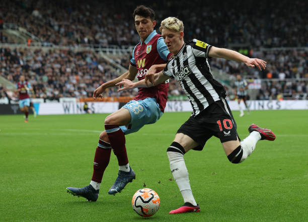 提陈梦这个 提陈梦这个