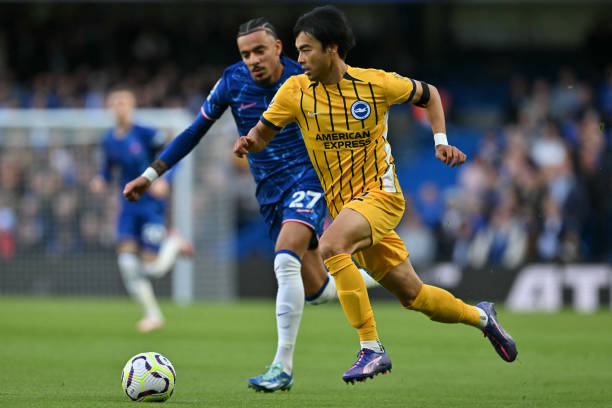 仅为他们赢 仅为他们赢